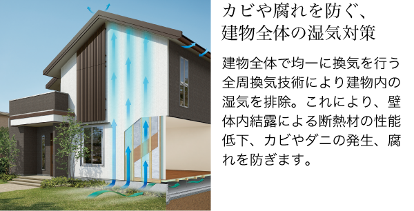 カビや腐れを防ぐ、建物全体の湿気対策　建物全体で均一に換気を行う全周換気技術により建物内の湿気を排除。これにより、壁体内結露による断熱材の性能低下、カビやダニの発生、腐れを防ぎます。